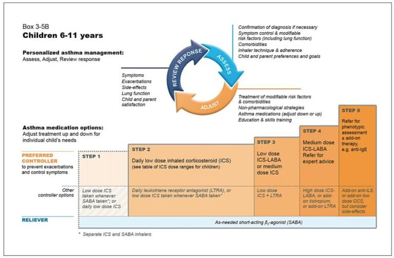 Global Initiative For Asthma (gina) – What’s New In 2020 - Medical 