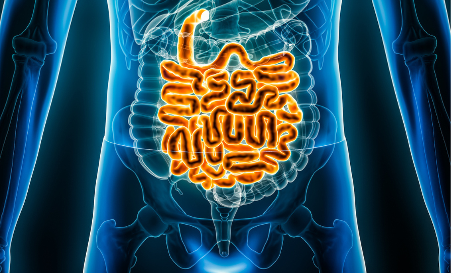 The spectrum of treatment for inflammatory bowel disease IBD