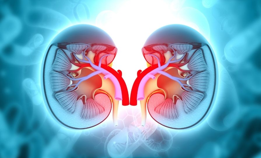 glomerular disease 